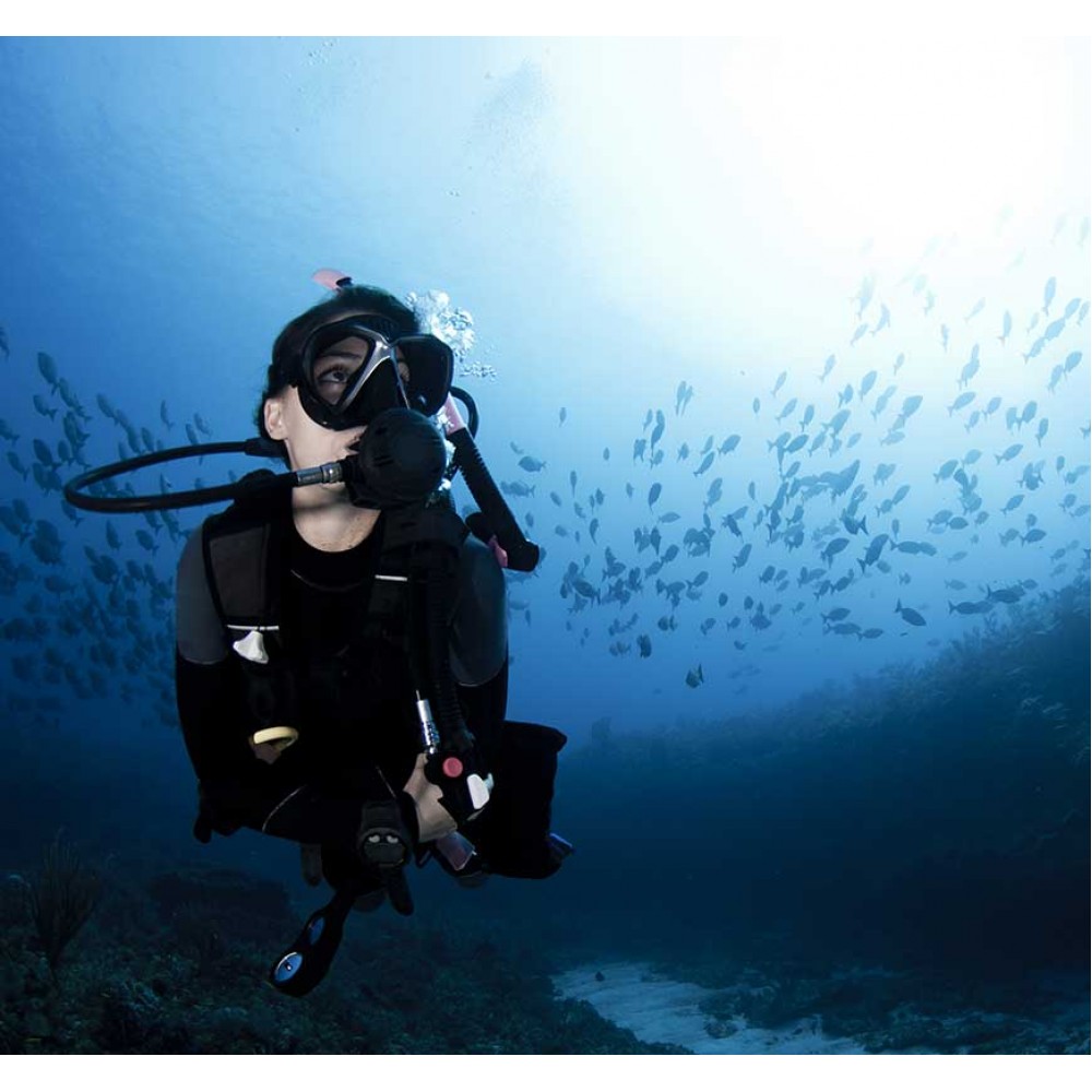 PADI Adventure Diver | Scuba Diving | Scuba Store