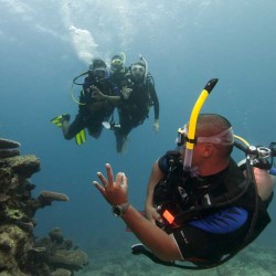 PADI Divemaster