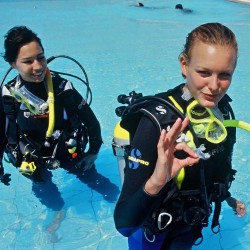 Scuba Store | Online Equipment | Diving Courses