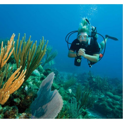 PADI Underwater Naturalist | Scuba Diving | Scuba Store