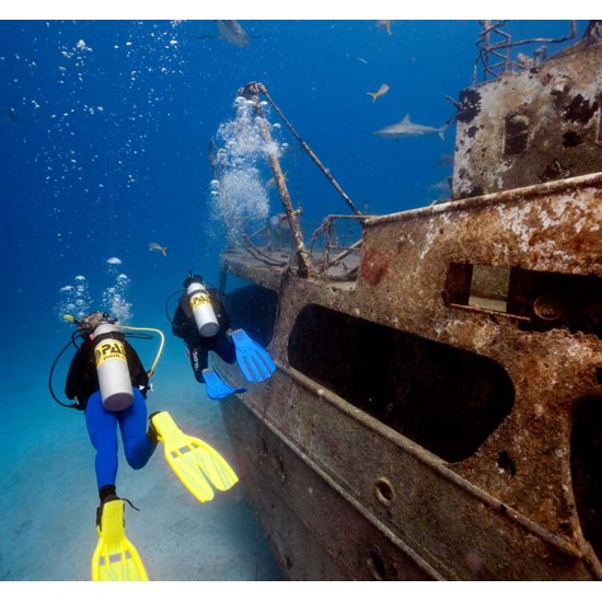 PADI Wreck Diver | Scuba Diving | Scuba Store